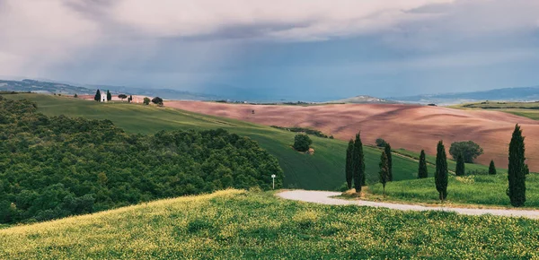 Hermoso Paisaje Verano Con Cipreses Colinas — Foto de Stock