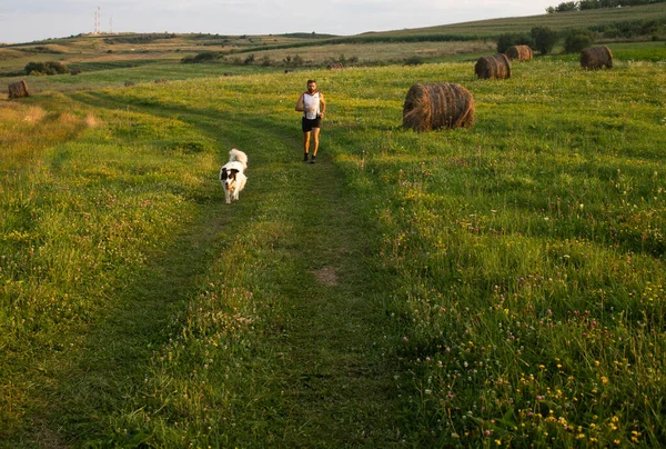 Hombre Corriendo Con Perro Atardecer Estilo Vida Activo Saludable — Foto de Stock