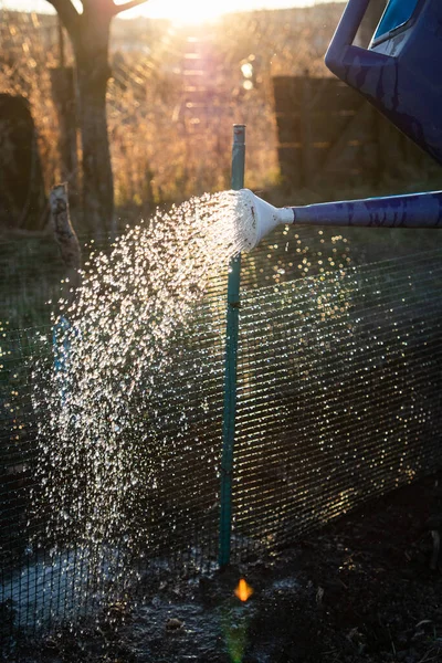 Udare Grădina Primăvară Grădinărit Eco — Fotografie, imagine de stoc