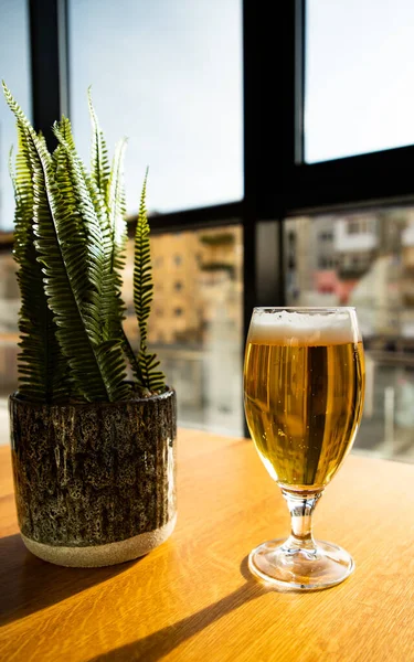 Glass Beer Sunny Table — ストック写真