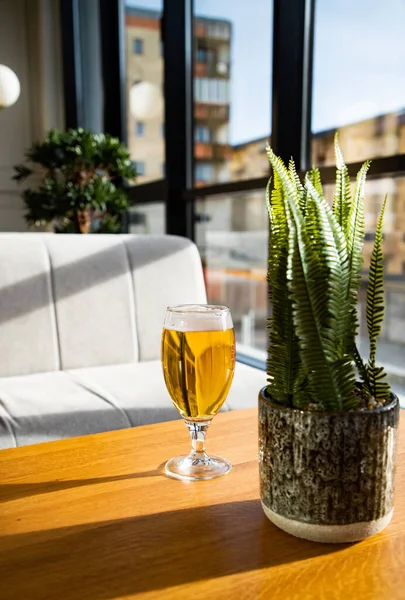 Glass Beer Sunny Table — Stock Photo, Image