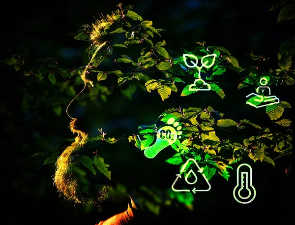 Esg Symbol Green Forest Background Environmental Social Governance — ストック写真