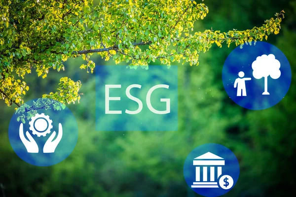 Esg Σύμβολο Στο Πράσινο Φόντο Δάσος Περιβαλλοντική Κοινωνική Διακυβέρνηση — Φωτογραφία Αρχείου