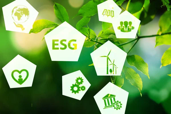 Esg Koncept Zeleném Pozadí Environmentální Sociální Správa — Stock fotografie