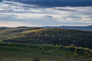 Yazın başında yeşil tepelerin üzerinde gün batımı.