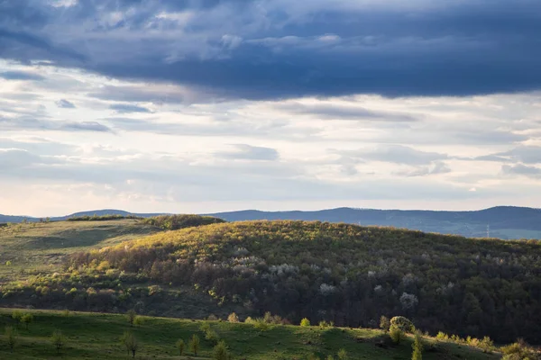 Yazın Başında Yeşil Tepelerin Üzerinde Gün Batımı — Stok fotoğraf