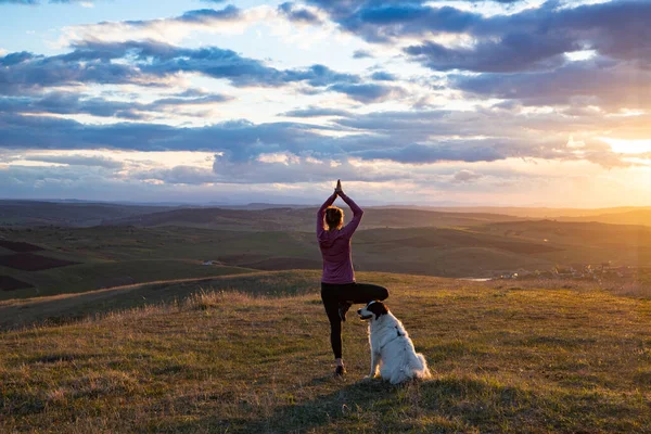 Woman White Dog Doing Yoga Sunset Tree Pose Vrksasana — Stockfoto
