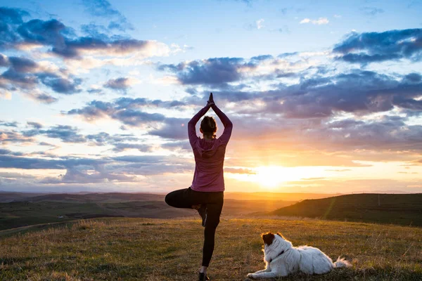 Woman White Dog Doing Yoga Sunset Tree Pose Vrksasana — Stock Fotó