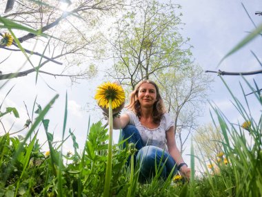 Karahindiba toplayan bir kadın.