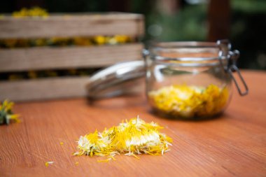 Karahindiba şurubu ya da taze karahindibalardan bal hazırlamak