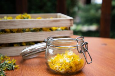 Karahindiba şurubu ya da taze karahindibalardan bal hazırlamak