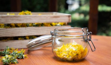 Karahindiba şurubu ya da taze karahindibalardan bal hazırlamak