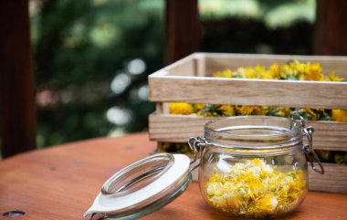 Karahindiba şurubu ya da taze karahindibalardan bal hazırlamak