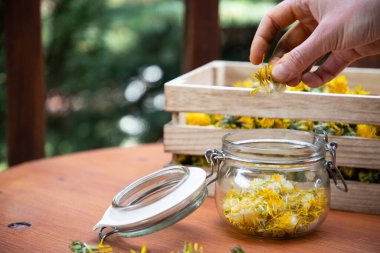 Karahindiba şurubu ya da taze karahindibalardan bal hazırlamak