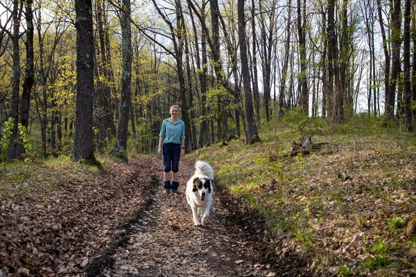 Bir Kadın Köpekle Ormanda Yürüyor — Stok fotoğraf