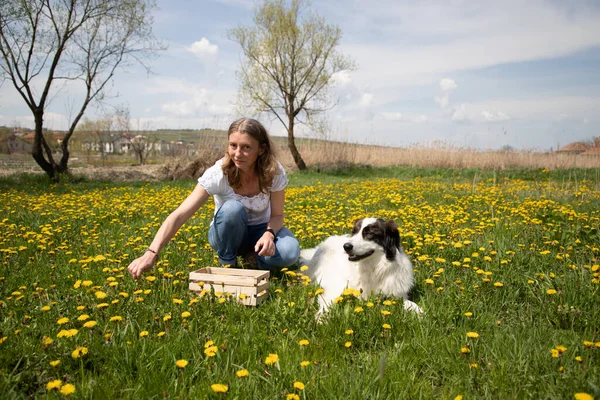 Kobieta Zbieranie Mniszek Lekarski Kwiaty Dziki Ogród — Zdjęcie stockowe