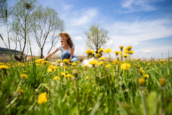 Woman Picking Dandelion Flowers Wild Garden — Stock Photo, Image