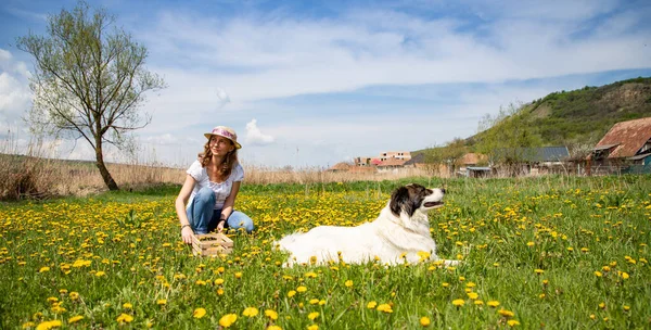 Karahindiba toplayan bir kadın.