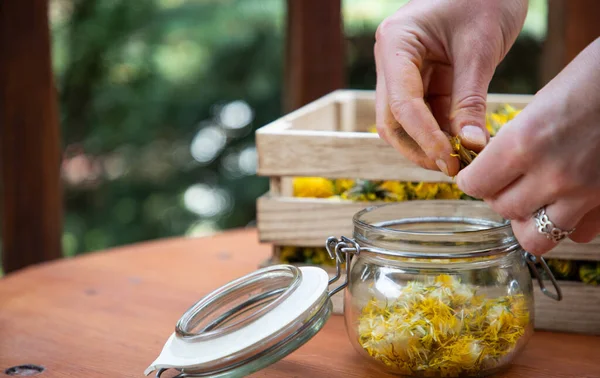 Karahindiba şurubu ya da taze karahindibalardan bal hazırlamak
