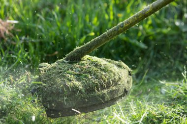 Çim biçme makinesi ile çimleri biçmek, bahçe işleri konsepti.