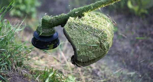 Falciare Erba Con Tosaerba Giardino Concetto Lavoro Fondo — Foto Stock