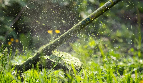 Segar Hierba Con Una Cortadora Césped Jardín Trabajo Concepto Fondo — Foto de Stock