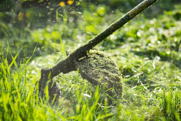 Klippa Gräset Med Gräsklippare Trädgård Arbete Koncept Bakgrund — Stockfoto