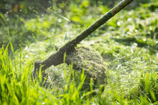 Fűnyírás Fűnyíróval Kerti Munka Koncepció Háttér — Stock Fotó