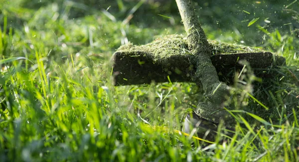 Maaien Van Het Gras Met Een Grasmaaier Tuin Werk Concept — Stockfoto