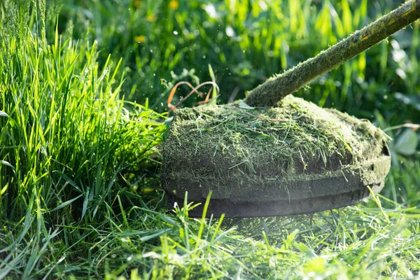 Segar Hierba Con Una Cortadora Césped Jardín Trabajo Concepto Fondo — Foto de Stock