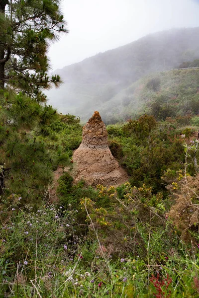 Paesaggio Frastagliato Vegetazione Tenerife — Foto Stock