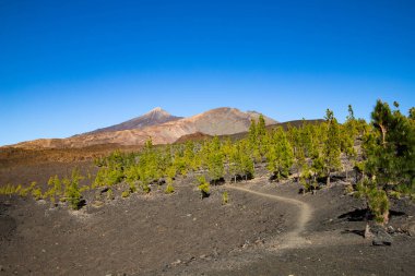 El Teide Ulusal Parkı 'ndaki muhteşem manzara 