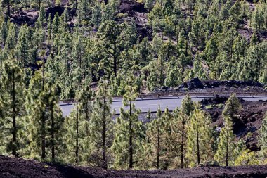 El Teide Ulusal Parkı 'ndaki muhteşem manzara 