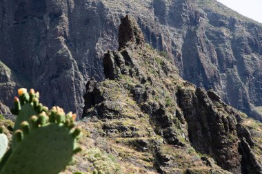 Masca dağ köyü Tenerife Kanarya adaları