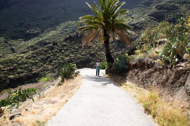 Masca dağ köyüne bakan kadın Tenerife Kanarya Adaları