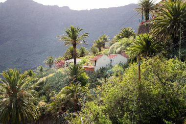 Masca dağ köyü Tenerife Kanarya adaları