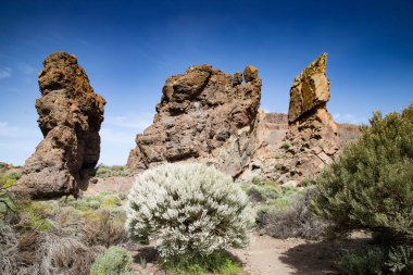 Teide Ulusal Parkı Tenerife Kanarya Adaları 'ndaki roques de Garcia Taşı ve Teide Dağı volkanı İspanya