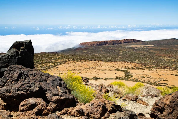 amazing landscape in El Teide national park