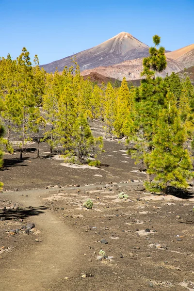 amazing landscape in El Teide national park