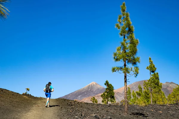 Man Wandelen Naar Vulkaan Teide Nationaal Park Tenerife — Stockfoto