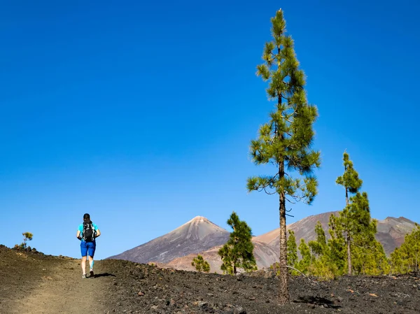 Man Wandelen Naar Vulkaan Teide Nationaal Park Tenerife — Stockfoto