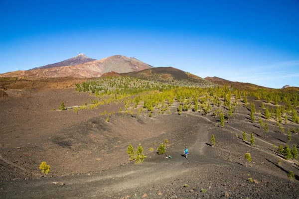 Geweldig Landschap Teide Nationaal Park — Stockfoto