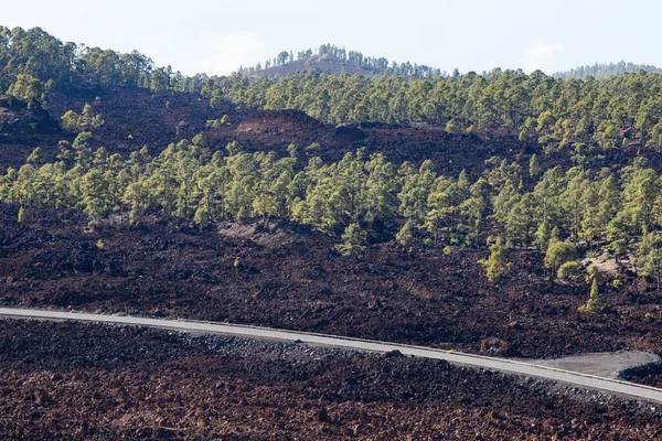 Amazing Landscape Teide National Park — Stock Photo, Image