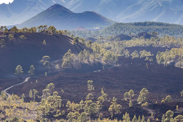 Paesaggio Incredibile Nel Parco Nazionale Teide — Foto Stock