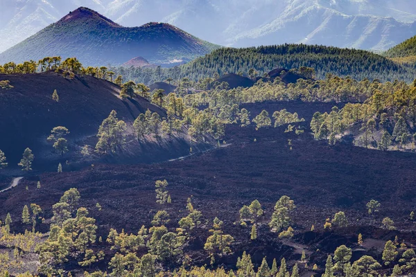 Paesaggio Incredibile Nel Parco Nazionale Teide — Foto Stock