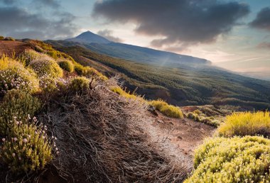 El Teide volkanı üzerinde inanılmaz bir günbatımı Tenerife Kanarya Adaları