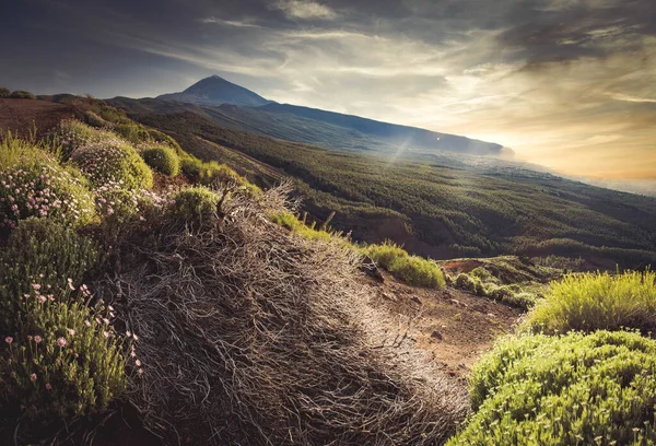 Incrível Pôr Sol Sobre Vulcão Teide Tenerife Canárias — Fotografia de Stock