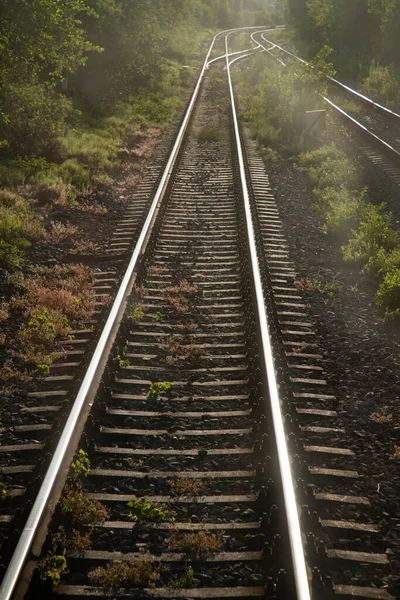 Train Tracks Slow Travel Concept — 스톡 사진