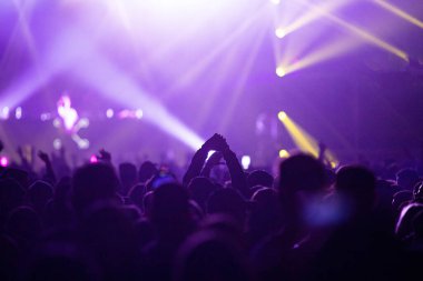 Konserdeki kalabalık - Yaz müzik festivali