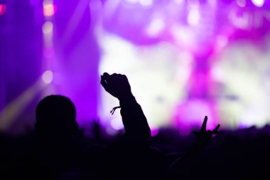 Konserdeki kalabalık - Yaz müzik festivali